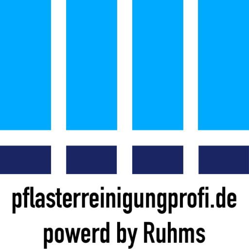 Pflasterreinigungsprofi